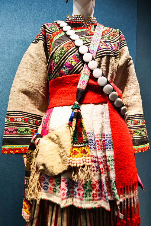 韻致菁華 上海歷博展中國女性民族服飾