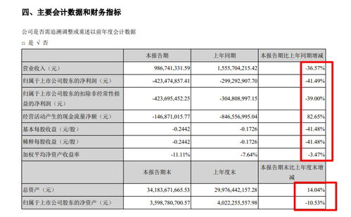 南國(guó)置業(yè)半年報(bào)分析 毛利率28.7%但仍虧損4.23億，物業(yè)管理業(yè)態(tài)承壓